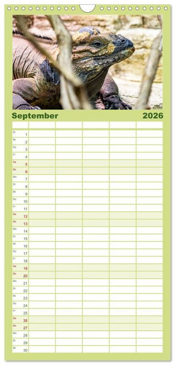 Produktbild: Familienplaner 2026 - Reptilien & Amphibien Portraits mit 5 Spalten (Wandkalender, 21 x 45 cm) CALVENDO