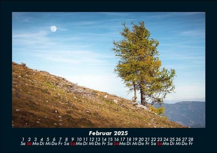 Produktbild: B&auml;ume 2025 Fotokalender DIN A5