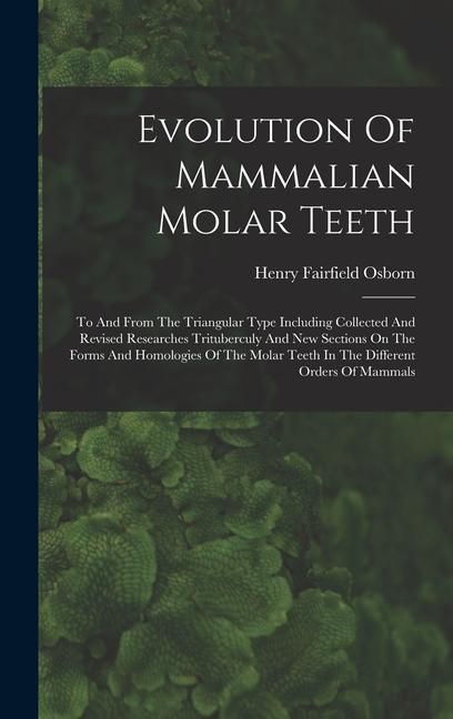 Produktbild: Evolution Of Mammalian Molar Teeth: To And From The Triangular Type Including Collected And Revised Researches Trituberculy And New Sections On The Fo
