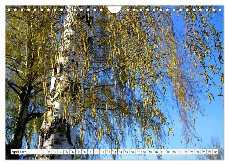 Produktbild: 12 Monate Natur (Wandkalender 2027 DIN A4 quer), CALVENDO Monatskalender