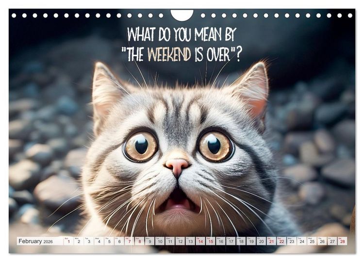 Produktbild: WITTY CATS Cool sayings (Wall Calendar 2026 DIN A4 landscape), CALVENDO 12 Month Wall Calendar