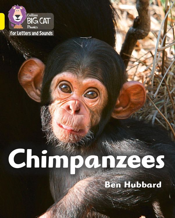 Produktbild: Chimpanzees