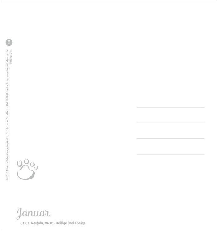 Produktbild: Katzen Postkartenkalender Kleine Tiger 2027