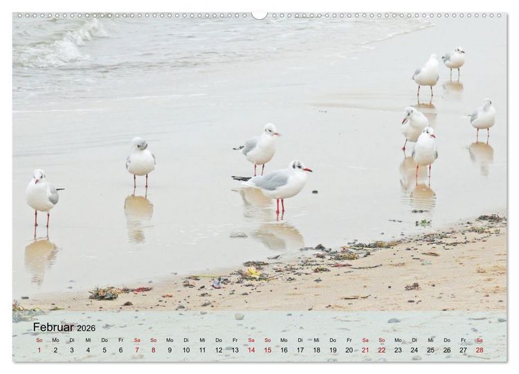 Produktbild: Ostseebad K&uuml;hlungsborn. Erholung mit allen Sinnen (hochwertiger Premium Wandkalender 2026 DIN A2 quer), Kunstdruck in Hochglanz