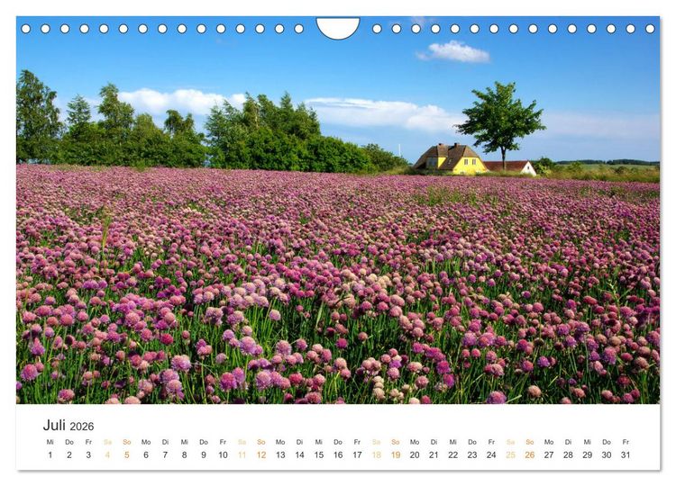 Produktbild: Bornholm Pur (Wandkalender 2026 DIN A4 quer), CALVENDO Monatskalender