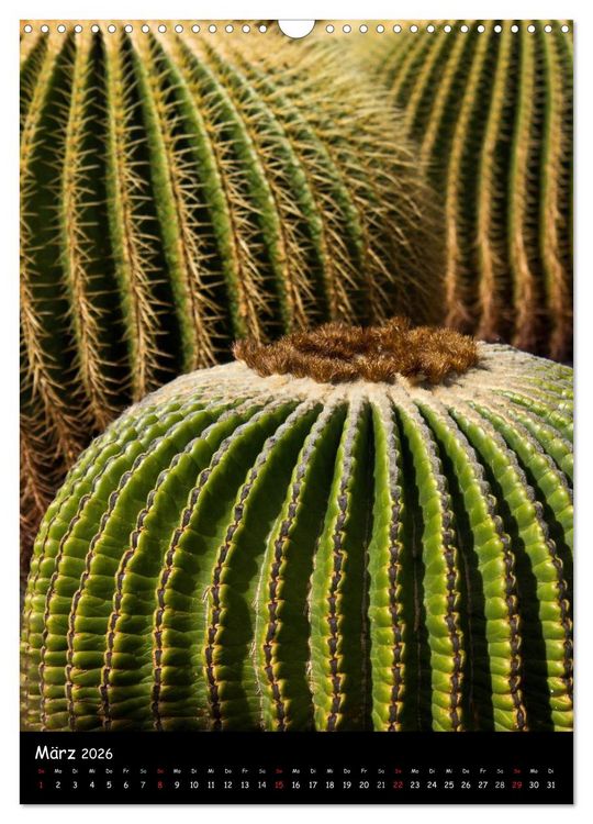 Produktbild: Lanzarote (Wandkalender 2026 DIN A3 hoch), CALVENDO Monatskalender