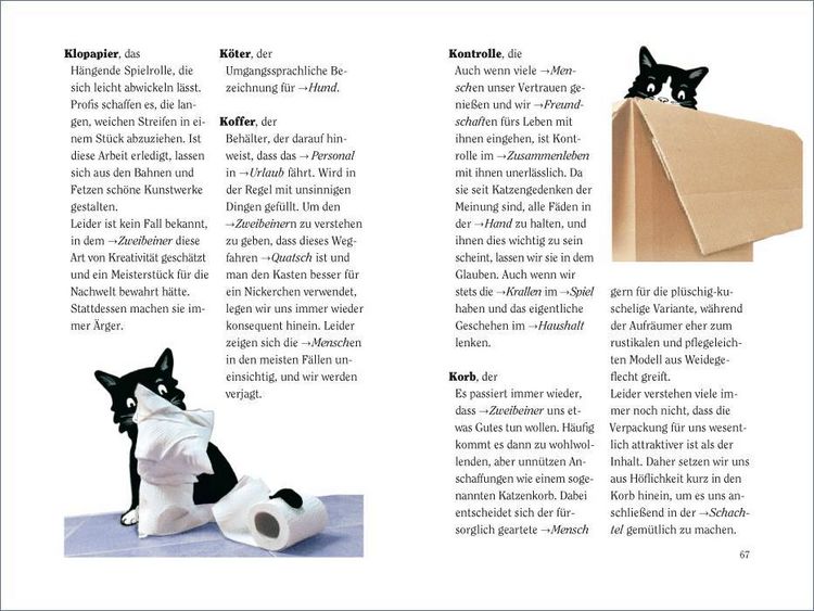 Produktbild: Wie wir Katzen die Welt sehen