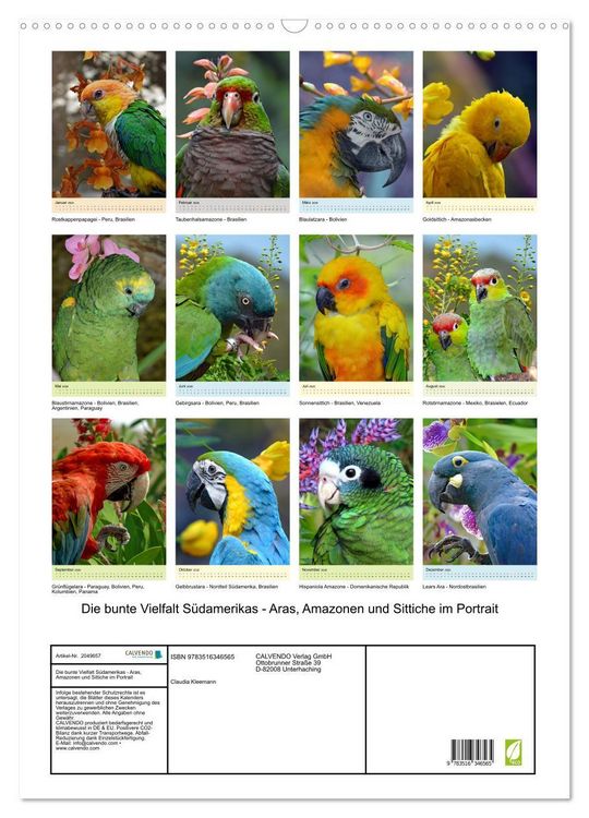 Produktbild: Die bunte Vielfalt S&uuml;damerikas - Aras, Amazonen und Sittiche im Portrait (Wandkalender 2026 DIN A2 hoch), CALVENDO Monatskalender