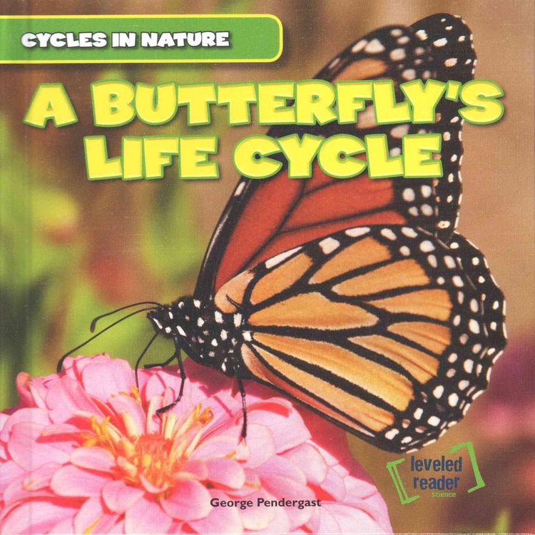 Produktbild: A Butterfly's Life Cycle