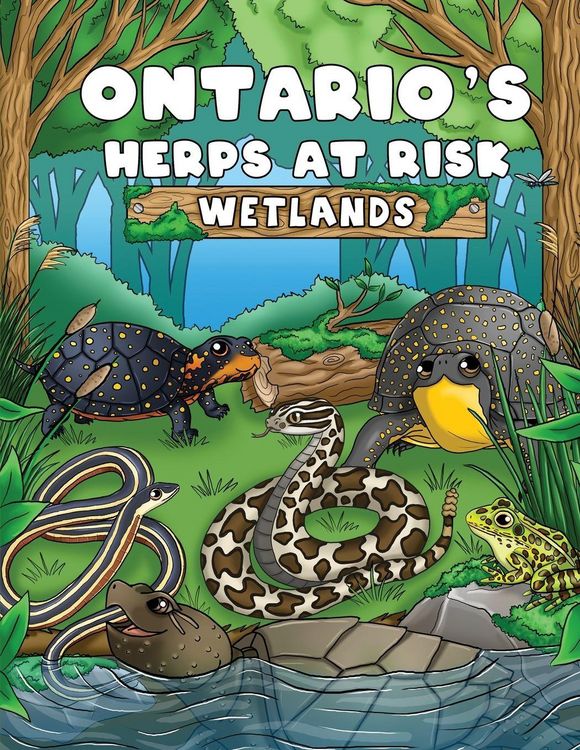 Produktbild: Ontario's Herps At Risk Wetlands