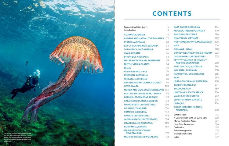 Produktbild: Der ultimative World Diver's Guide