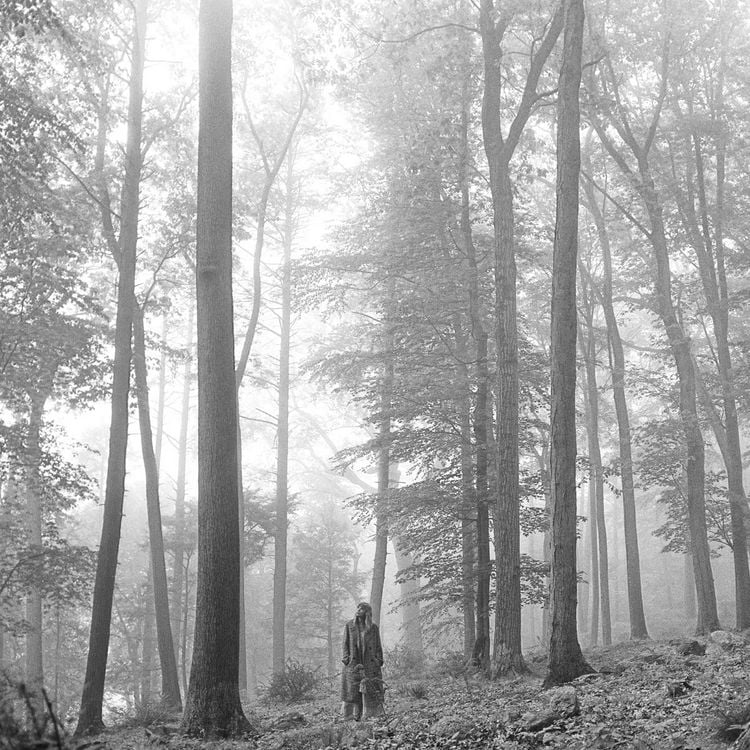 Produktbild: Folklore (Deluxe 2LP)