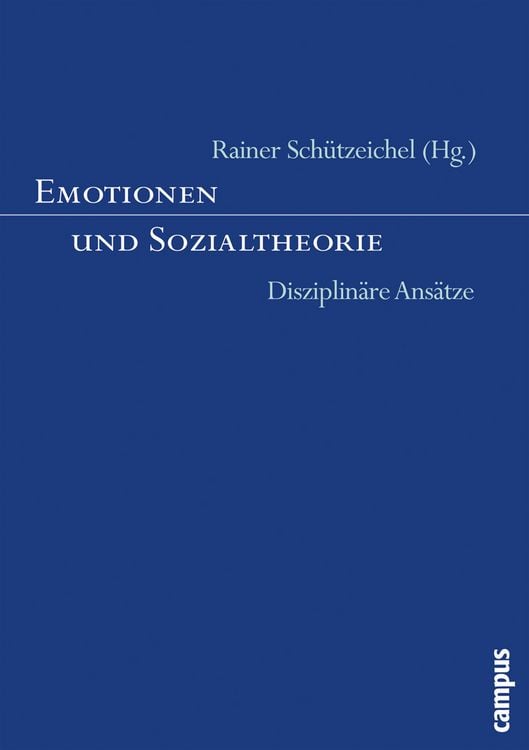 Produktbild: Emotionen und Sozialtheorie
