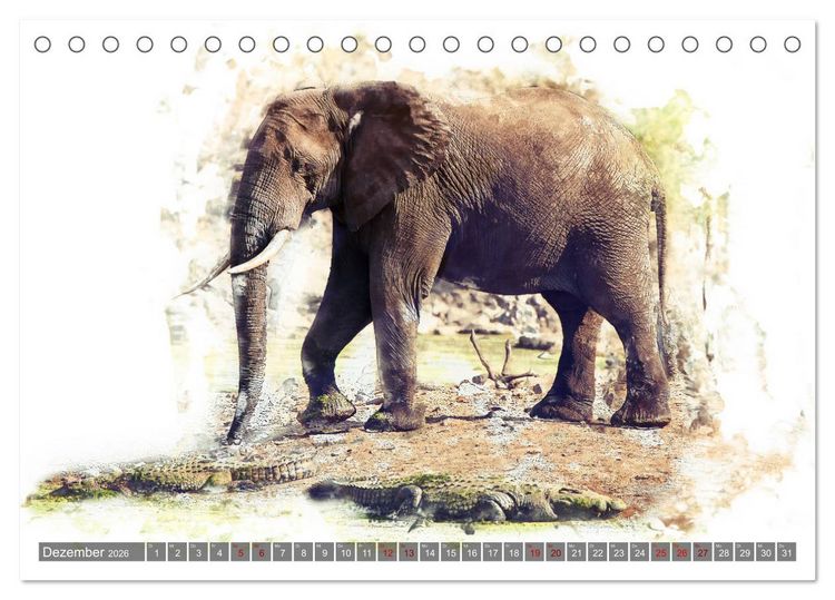 Produktbild: Tierportraits - Fine Art (Tischkalender 2026 DIN A5 quer), CALVENDO Monatskalender