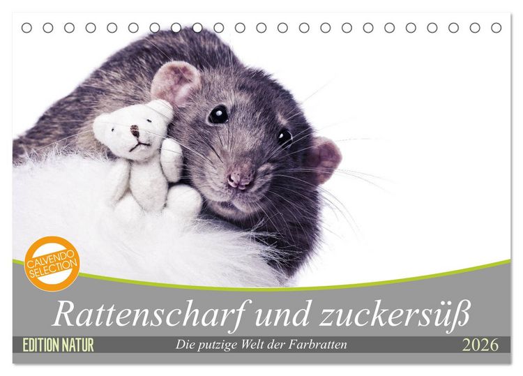 Produktbild: Rattenscharf und zuckers&uuml;&szlig; (Tischkalender 2026 DIN A5 quer), CALVENDO Monatskalender
