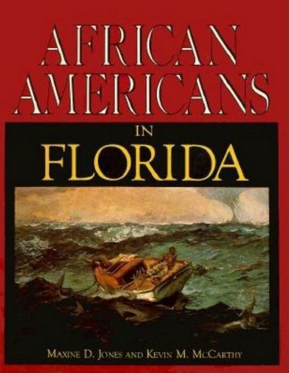 Produktbild: African Americans in Florida