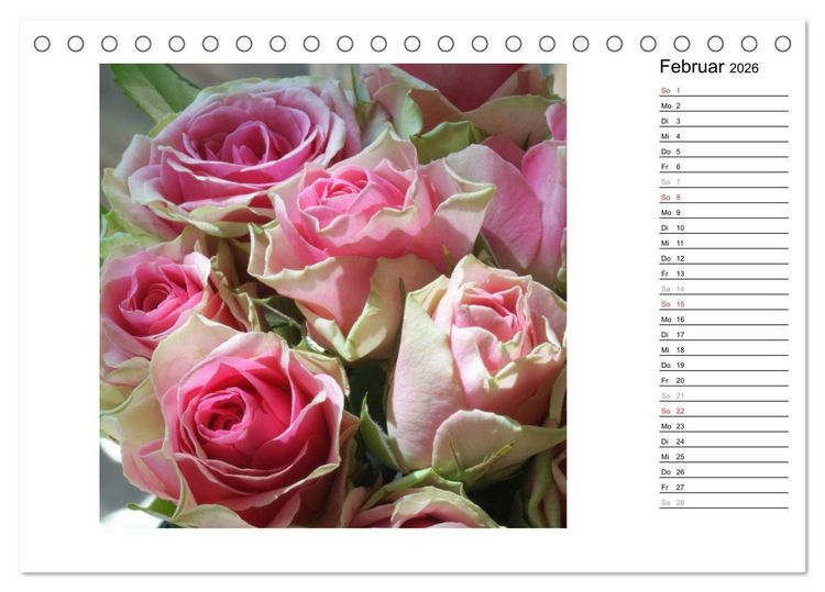 Produktbild: Die vielen Gesichter der Rosen (Tischkalender 2026 DIN A5 quer), CALVENDO Monatskalender
