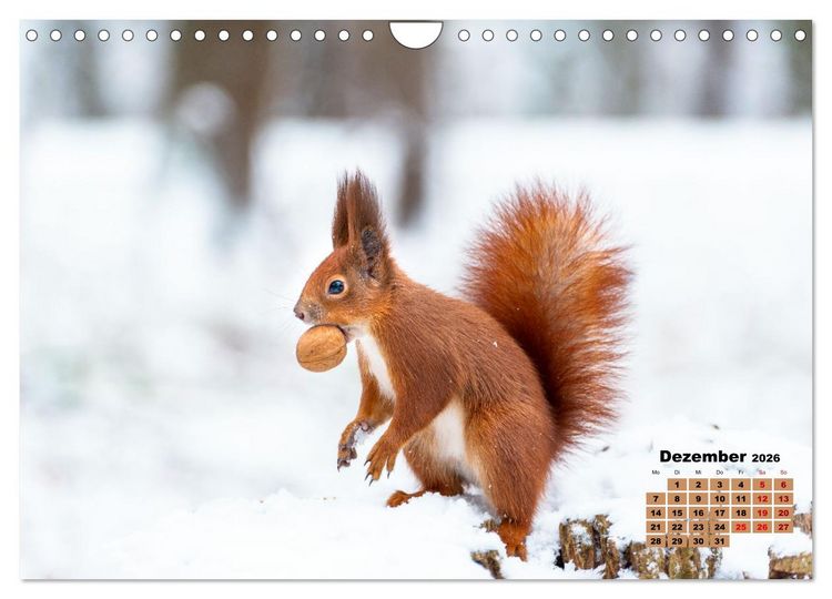 Produktbild: Tiere in freier Wildbahn by VogtArt (Wandkalender 2026 DIN A4 quer), CALVENDO Monatskalender