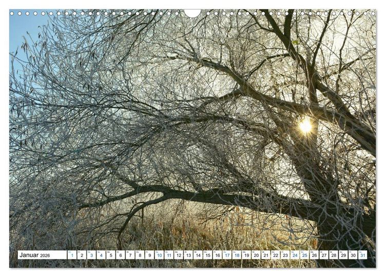 Produktbild: Land Brandenburg - Natur und Erholung im m&auml;rkischen Land (Wandkalender 2026 DIN A3 quer), CALVENDO Monatskalender
