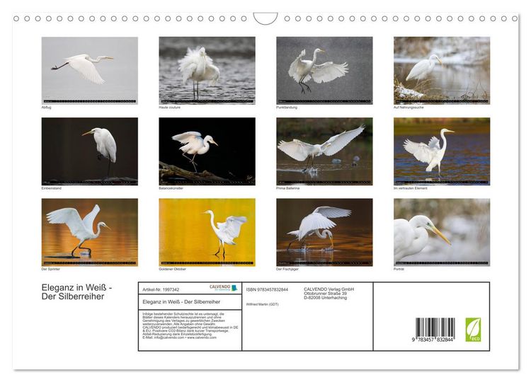 Produktbild: Eleganz in Wei&szlig; - Der Silberreiher (Wandkalender 2026 DIN A3 quer), CALVENDO Monatskalender