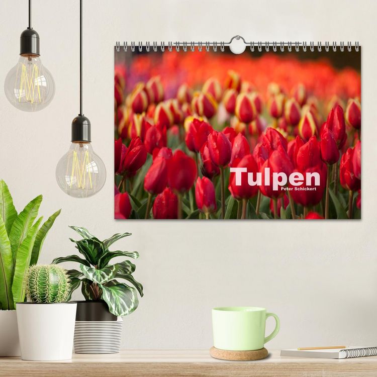 Produktbild: Tulpen (Wandkalender 2026 DIN A4 quer), CALVENDO Monatskalender