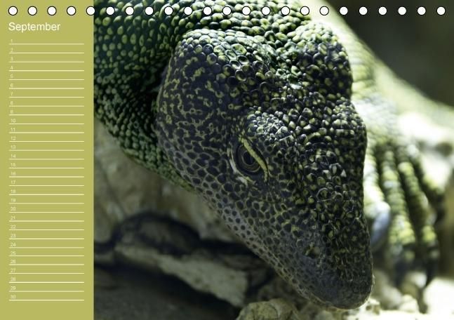 Produktbild: Drachen / Geburtstagskalender (Tischkalender immerw&auml;hrend DIN A5 quer)