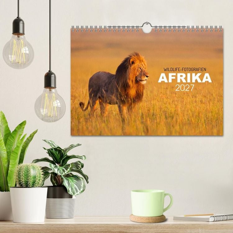 Produktbild: Afrika Wildlife-Fotografien (Wandkalender 2027 DIN A4 quer), CALVENDO Monatskalender