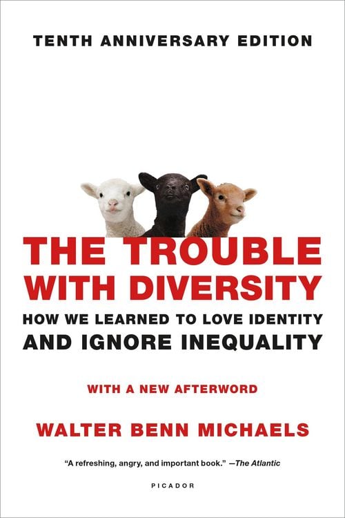 Produktbild: The Trouble with Diversity