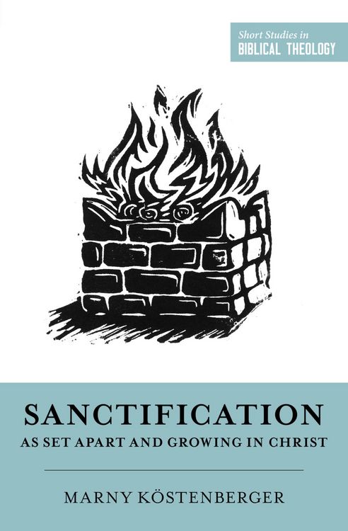 Produktbild: Sanctification as Set Apart and Growing in Christ