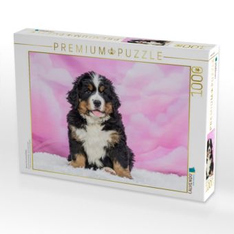 Produktbild: CALVENDO Puzzle Berner Sennenhund Baby | 1000 Teile Lege-Gr&ouml;&szlig;e 64x48cm Foto-Puzzle f&uuml;r gl&uuml;ckliche Stunden