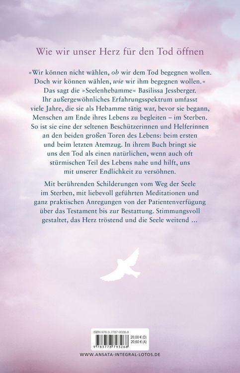 Produktbild: Im Sturm lernt das Herz fliegen