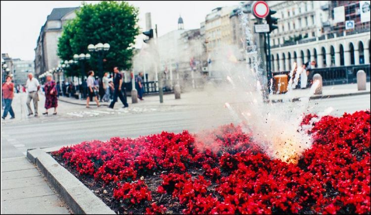 Produktbild: Flowers!