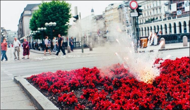 Produktbild: Flowers!