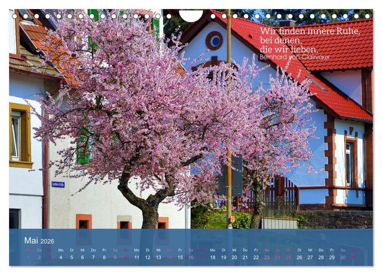 Produktbild: FASZINATION MANDELBL&Uuml;TE (Wandkalender 2026 DIN A4 quer), CALVENDO Monatskalender