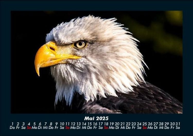 Produktbild: Adler 2025 Fotokalender DIN A5