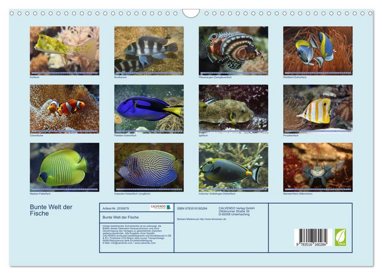 Produktbild: Bunte Welt der Fische (Wandkalender 2026 DIN A3 quer), CALVENDO Monatskalender