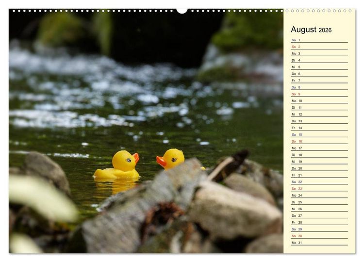Produktbild: Enten-Rennen (Wandkalender 2026 DIN A2 quer), CALVENDO Monatskalender