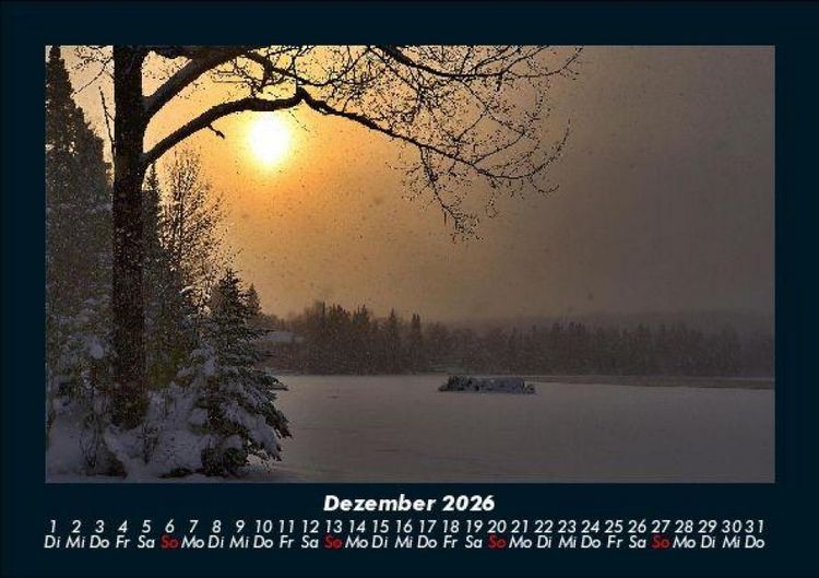 Produktbild: B&auml;ume 2026 Fotokalender DIN A5