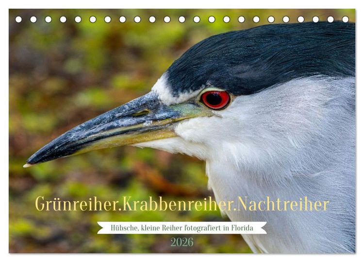 Produktbild: Gr&uuml;nreiher - Krabbenreiher - Nachtreiher (Tischkalender 2026 DIN A5 quer), CALVENDO Monatskalender