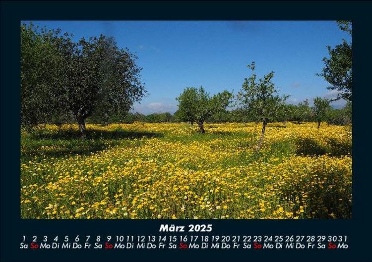 Produktbild: Bilder der Natur 2025 Fotokalender DIN A5