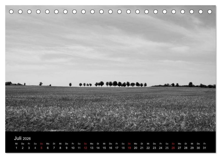 Produktbild: B&auml;ume trees 2026 (Tischkalender 2026 DIN A5 quer), CALVENDO Monatskalender
