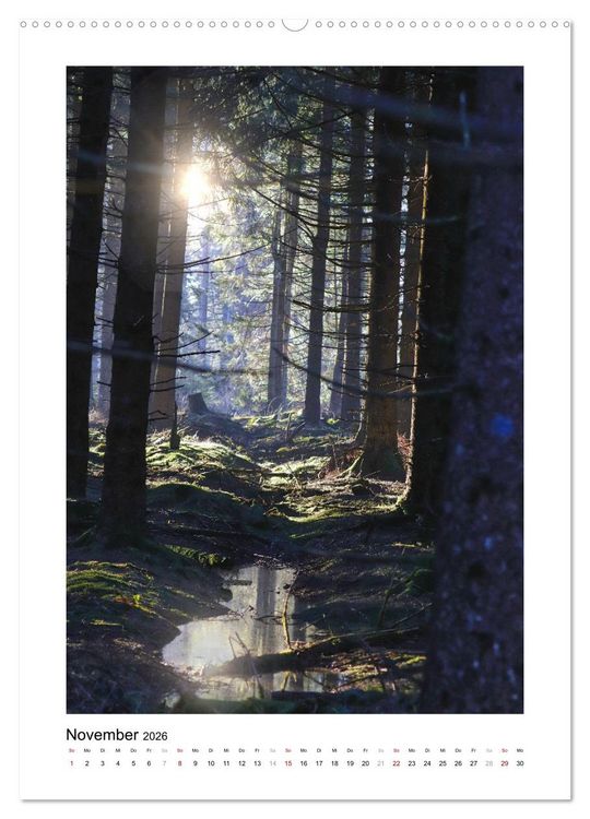 Produktbild: Mein Sehnsuchtsort, der Wald (Wandkalender 2026 DIN A2 hoch), CALVENDO Monatskalender
