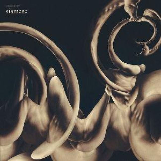 Produktbild: dissolution