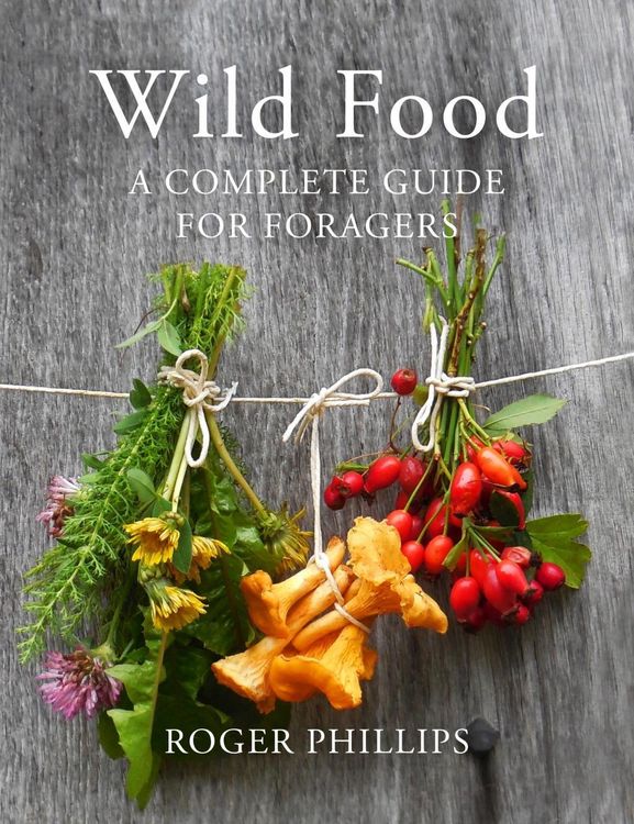 Produktbild: Wild Food
