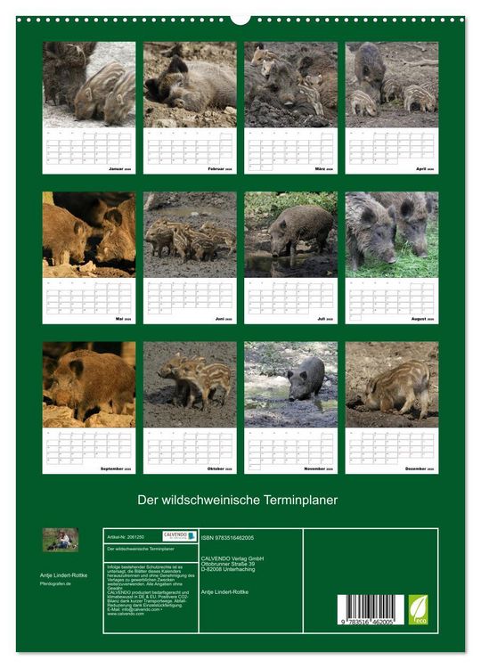 Produktbild: Der wildschweinische Terminplaner (hochwertiger Premium Wandkalender 2026 DIN A2 hoch), Kunstdruck in Hochglanz