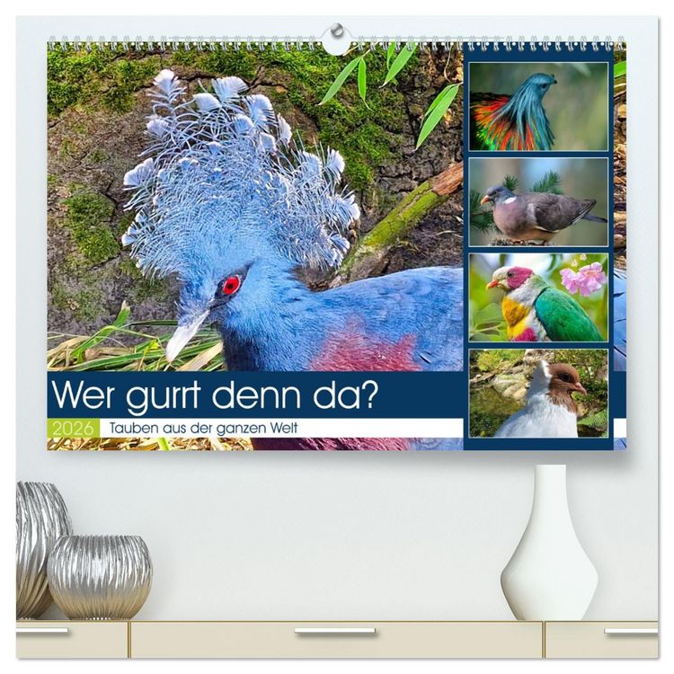 Produktbild: Wer gurrt denn da? (hochwertiger Premium Wandkalender 2026 DIN A2 quer), Kunstdruck in Hochglanz