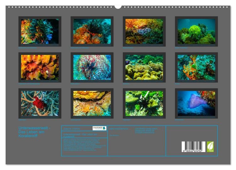Produktbild: Unterwasserwelt - Das Leben am Korallenriff (hochwertiger Premium Wandkalender 2026 DIN A2 quer), Kunstdruck in Hochglanz