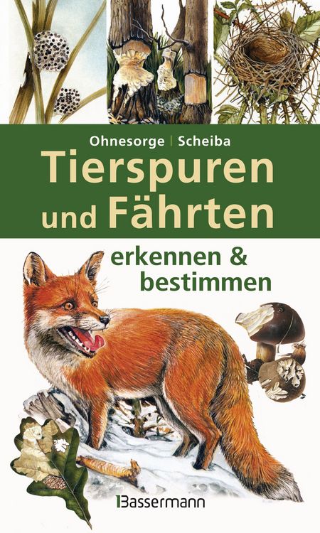 Produktbild: Tierspuren und F&auml;hrten erkennen & bestimmen