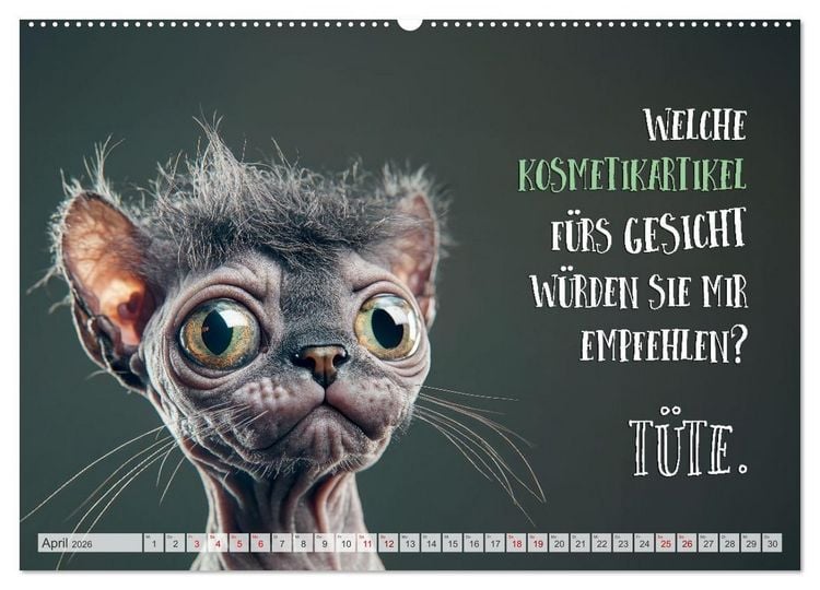 Produktbild: Katzenlogik - Wenn Blicke miauen k&ouml;nnten (hochwertiger Premium Wandkalender 2026 DIN A2 quer), Kunstdruck in Hochglanz