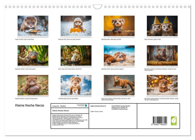 Produktbild: Kleine freche Nerze (Wandkalender 2026 DIN A3 quer), CALVENDO Monatskalender